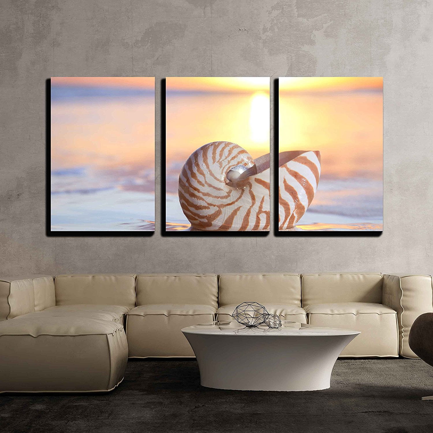 Wall26 3 Piece Canvas Wall Art Nautilus Shell In The Sea Sunrise Shallow Dof Modern Home Decor Stretched And Framed Ready To Hang 16 X24 X3 Panels Walmart Com Walmart Com