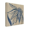 thumbnail image 2 of Trademark Fine Art 'Indigo Coneflower' Canvas Art by Chariklia Zarris, 2 of 4