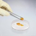 thumbnail image 5 of 10 placas de Petri de plástico estériles con tapa, 70 mm de diámetro x 14 mm de profundidad, para escuelas, laboratorios y fiestas temáticas., 5 of 5