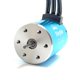 thumbnail image 4 of Motor KingVal 3650 4300KV Sensorless Eje 3.175mm ESC 60A, 4 of 9