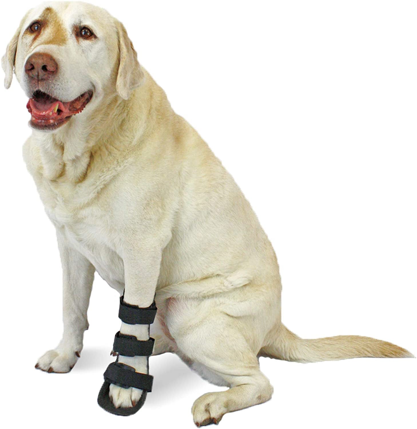 Pet Splint for Dogs | Front Leg Foot Splint For Dogs Arthritis and Injuries - Walmart.com