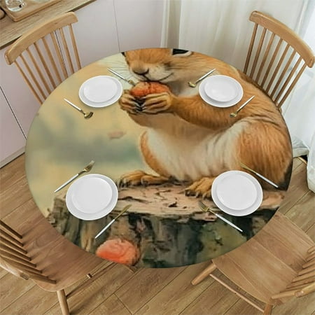 

Patifu Squirrel Forest Stump Round Tablecloth | Stain-Resistant & Washable | Ideal for Indoor and Outdoor Use | 100% Polyester Table Cloth 31 -35