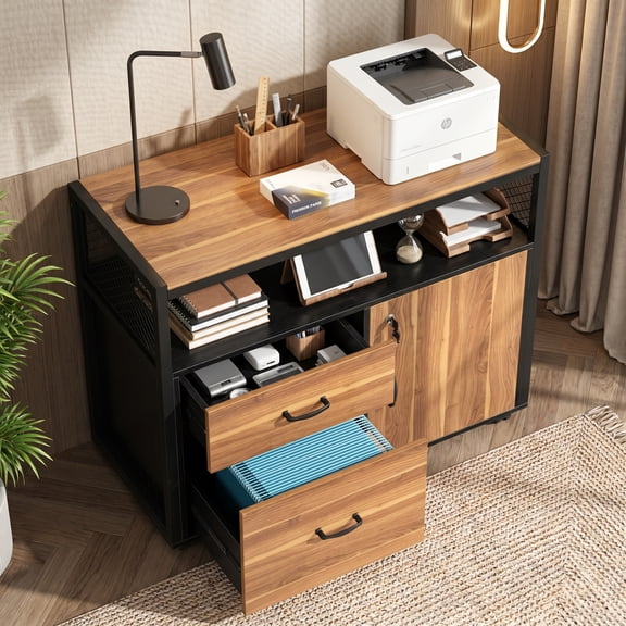 Fnova Lateral File Cabinet with Lock, 2 Drawer Metal Frame Lockable Filing Cabinet for Letter Size, Rolling Wood Printer Stand, Brown