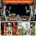 thumbnail image 2 of Eonox 5.4FT Life-Size Poseable Skeleton Halloween Prop - Realistic Movable Joint Plastic Skeleton Decor for Halloween, Day of Dead, Haunted Houses (65" Tall), 2 of 8