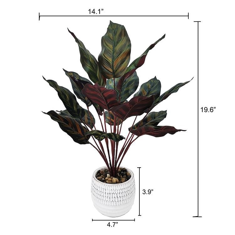 Plante en pot feuille sombre de Lerman Decor