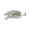 White, variant on 2 Pack Angel Wing Creaseless Hair Clips with Rhinestone, No Bend Plastic Cartoon Clips for Women Hairstyle, Bangs Makeup, Face Wash,Daily Wear