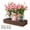 Pink, variant on Mason Jar Lights Centerpiece Table Decorations for Dining Room Farmhouse Coffee Table Decor, Wood Tray with 3 Jars Flowers for Spring Living Room, Office, Hotel，Home Decor
