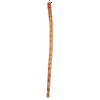 West Music BBRS60 - Authentic 60" Chilean Cactus Rainstick: Traditional Copado Cactus with Woven Fabric Band, Soothing Rain Tones for Cultural Learning & Ceremonies