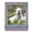Grape Purple, variant on Grape Purple Picture Frame Mat for 16x20 Frames - Fits 13.5x17 Photos - 50 Mats