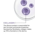 thumbnail image 2 of L’Oreal Paris Collagen Daily Face Moisturizer, 2 of 9