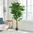 thumbnail image 2 of GDF Studio Wasco Artificial Ficus Tree, 6' x 2.5',Green, 2 of 6