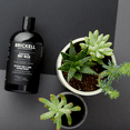 thumbnail image 5 of Brickell Men's Invigorating Mint Body Wash, Natural and Organic Ingredients, Sulfate-Free Shower Gel with Aloe, Glycerin, and Jojoba, 16 oz, 5 of 6