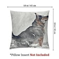 thumbnail image 4 of BANET Modern Throw Pillow Cushion Cover Pack of 2, Cat Portrait in Blurry Shady Tones Animal Kitty Picture, Zippered Double-Side Digital Print Decor, White Black 22x22in, 4 of 7