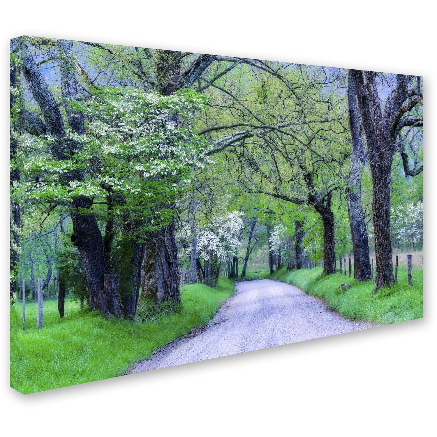 Trademark Fine Art "Cades Cove Lane" Canvas Art by Michael Blanchette Photography