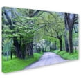 thumbnail image 2 of Trademark Fine Art "Cades Cove Lane" Canvas Art by Michael Blanchette Photography, 2 of 3