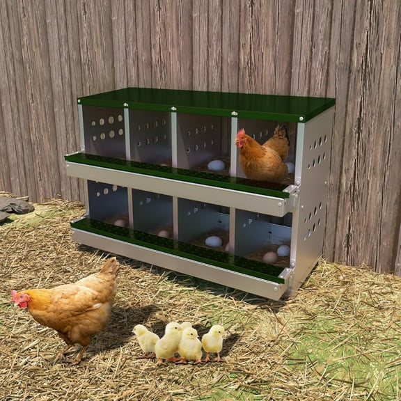 Metal Chicken Nesting Box for Laying Eggs, Rustproof Wall-mountable Roll Away Chicken Laying Boxes for Hens, Waterproof, Ventilated with Perch, 8 Compartments, Green