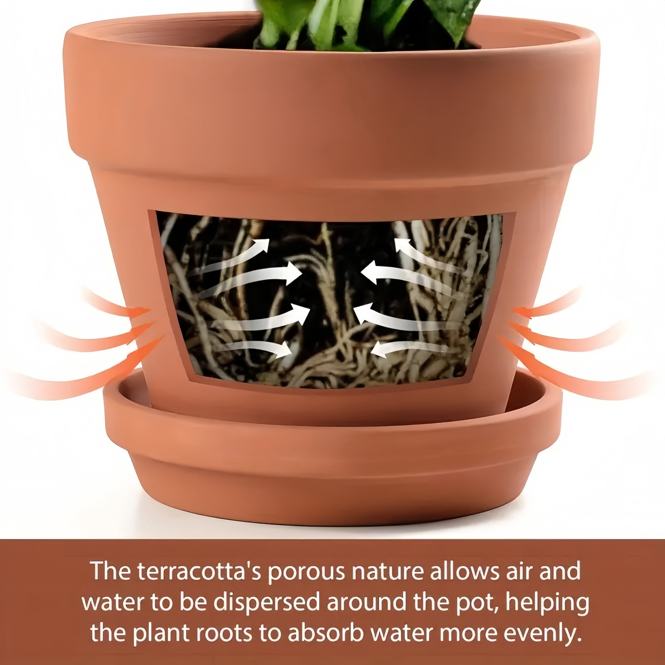 6.3 Inch x 5.5 Inch Terracotta Clay Planters with Drainage Hole, Saucer, 2 Count