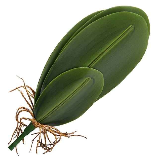 unbranded Planta Artificial De Plástico Verde Con Hojas Realistas Para En Hogar Y Eventos