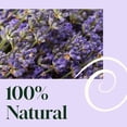 thumbnail image 6 of Plant Therapy Home All Natural Blissful Dreams Lavender Pillow and Linen Spray, Powered by Essential Oils, Aromatherapy Spray, 8 oz, 6 of 11