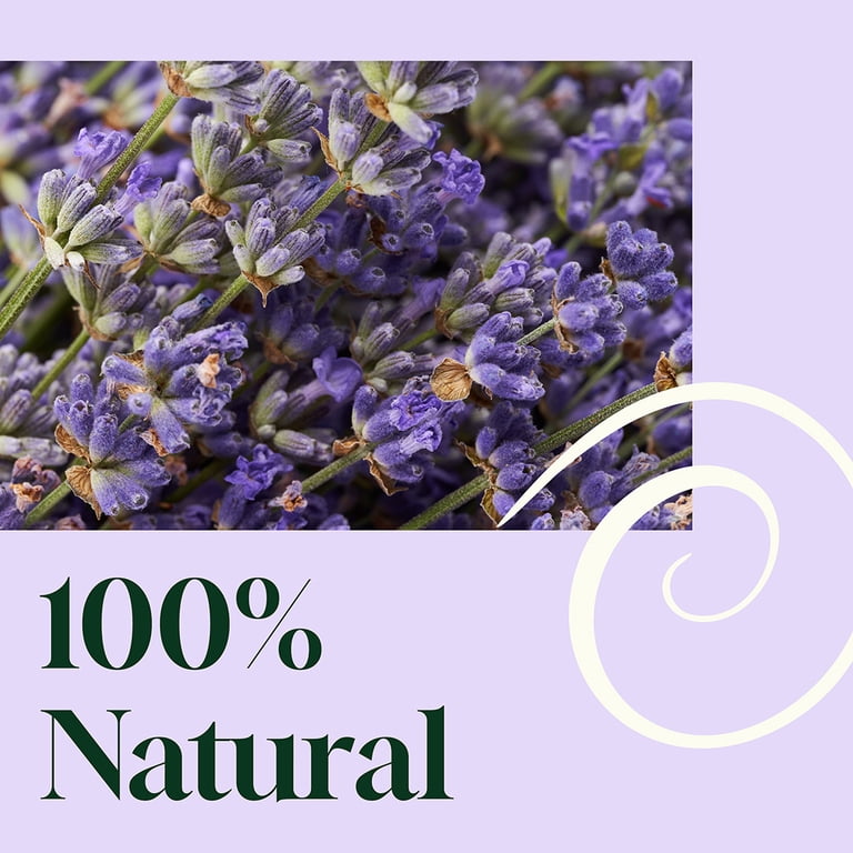 Plant Therapy Blissful Dreams Lavender Pillow Spray, 8 oz photo 3