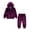 Purple, variant on Fesfesfes 2 Piece Set Girls Boys Fall Winter Long Sleeve Hooded Coat And Casual Pants Set Big Kids Solid Color Suit