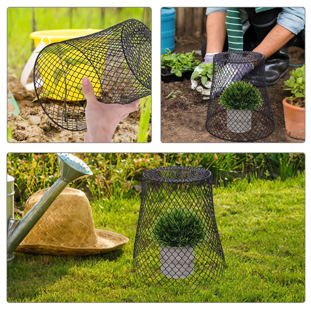 WEUVEB 2-Pack Strawberry Plant Protector Cages for Garden Vegetables, Fruit Plants, and