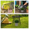 thumbnail image 5 of PTOOTP Plant Cage 2 Sets Multi-Functional Garden Plant Support and Barrier, 5 of 6