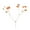 Orange, variant on SPRING PARK 12Pcs Pressed Dried Flowers for DIY Arts Crafts Resin Jewelry Making Accessory