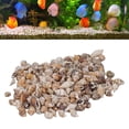thumbnail image 4 of Mixed Sea Shells, Non Porous Tiny Sea Shells 1 Can For  Fish, 4 of 8