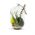 thumbnail image 4 of WGV Clear Cylindrical Hanging Glass Terrarium / Candle Holder - 5" Wide x 8" Height, Good quality Terrarium - 1 Pc, 4 of 7