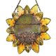 thumbnail image 1 of Alimentador De Pájaros Salvajes, Bandeja De Semillas Colgante De Girasol De Metal, Patio Al Aire Libre, Jardín, Árbol, Decoración De Patio Serendint PT002176-00, 1 of 6