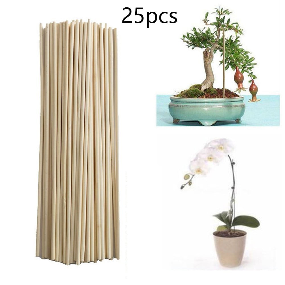  Green Bamboo Sticks Plant Stakes, Plant Support Sticks for  Indoor Plants, GAGINANG Sturdy Bamboo Stakes, Floral Plant Support for  Indoor and Outdoor Plants 25 Pack（15 Inches） : Patio, Lawn & Garden