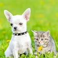 thumbnail image 4 of Spiked Dog Collar for Small Dogs PU Leather Spike Puppy Collar Anti Bite Rivet Studded Cat Collar for Kittens Extra Small Medium Pets Like Chihuahua Pug Pit Bull Bulldog 1Pack, 4 of 6