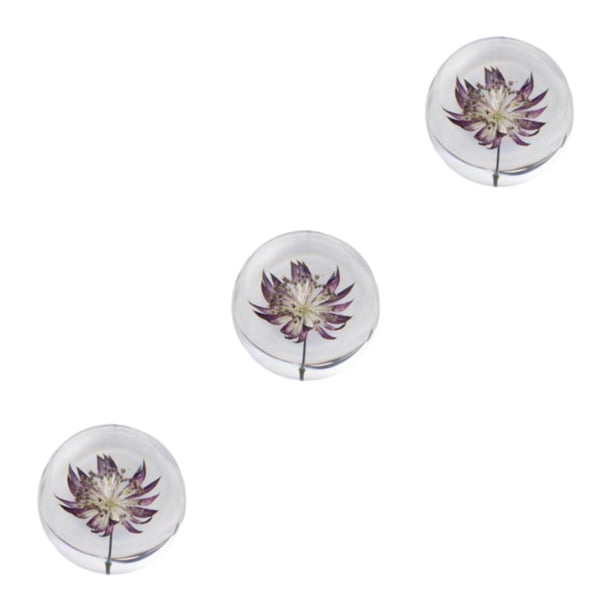Bewildely Bola de cristal de flor de ensueño de resina, atmósfera mágica en cualquier lugar, regalo decorativo de bola de ensueño, Astrantia, Type1 NO1
