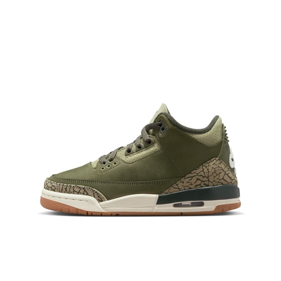 Big Kid's Jordan Retro 3 'Family Affair' (DM0967-202) - 6Y