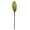 Basil, variant on Vickerman 14" Nectarine Repens on a Natural Stem. Includes 6 Stems per Bunch, Dried