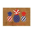 thumbnail image 4 of Needhep 2024 NEW Independence Day Non-Slip Front Door Mat Memorial Day Welcome Mat, With Slip Resistants Rubber Vintage Linen Floor Mat For 4th Of July,(I), 4 of 6