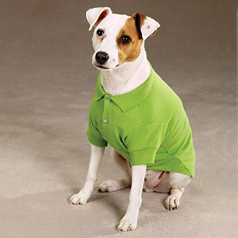 Zack and zoey dog clothes cheap