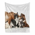 thumbnail image 1 of Funny Soft Flannel Fleece Throw Blanket, Cat and Dog Cuddling Lying on Floor Friendship Theme Animals Togetherness, Cozy Plush for Indoor and Outdoor Use, 50" x 60", Brown Black White, by Ambesonne, 1 of 6