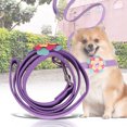 thumbnail image 5 of Hermosa flor mascota tirando cuerda cachorro perro tirando cable correa (púrpura), 5 of 5