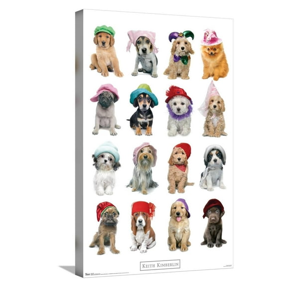 Keith Kimberlin - Puppies With Hats Canvas Wall Poster, 14.725" x 22.375"