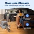 thumbnail image 6 of PetSafe ScoopFree Crystal Smart Front-Entry Self-Cleaning Cat Litter Box, Phone App Connected, Gray, 6 of 11