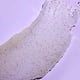 thumbnail image 4 of Exfoliante corporal Tree Hut vainilla 510 g, 4 of 7
