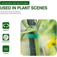 thumbnail image 2 of Self Adhesive Plant Tape, Green Gardening Binding Tape for Climbing Plants, Adjustable & Reusable Flower Support Tie for Garden, Balcony, Yard – 1 Roll, 2 of 6