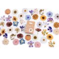 thumbnail image 2 of Sticker Calcomanía Flores Otoño Set 46 Estampas Pegatinas, 2 of 5