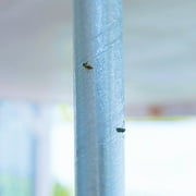 Raid Fly Stick, 2 Ct