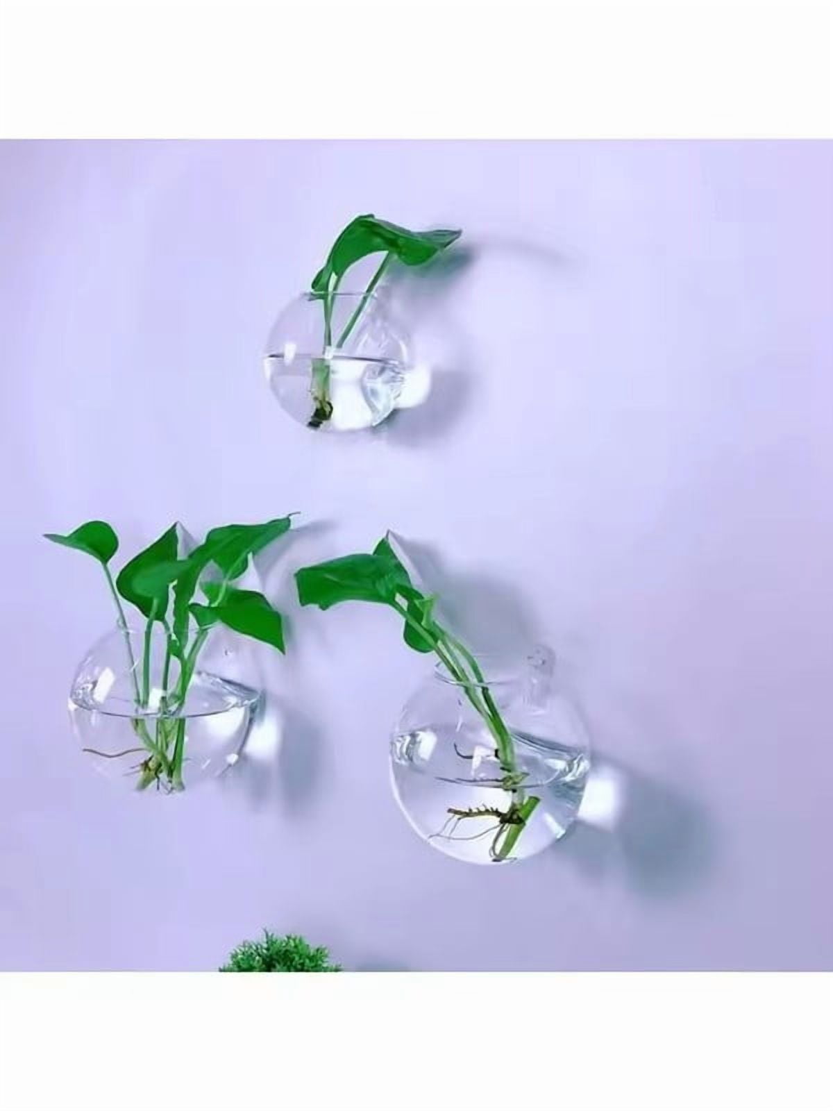2/4/6/8 Pack Wall Hanging Glass Terrarium - Self-Watering Hydroponic Planter for Home Office Decor, Handmade Round Crystal Vase