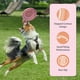 thumbnail image 3 of Disco Frisbee Wham-O Fastback para exteriores, 23,7 cm, ligero y 100 g, 3 of 7