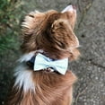 thumbnail image 4 of Uniquely styled paw pet soft and comfortable bow tie dog collar and cat collar pet gift, 4 of 5