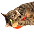 thumbnail image 3 of Silvervine Jumbo Chili Cuddle Toy, 3 of 3